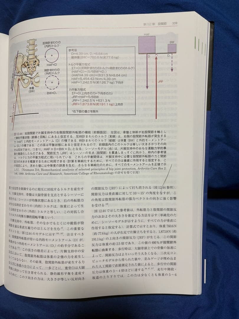 筋骨格系のキネシオロジー 原著第3版