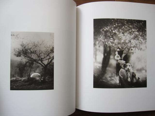 Sound of Summer Running　Raymond Meeks