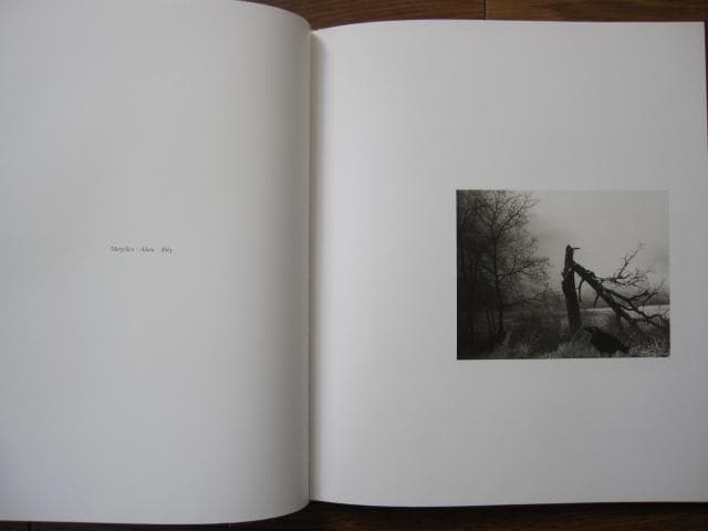 Sound of Summer Running　Raymond Meeks