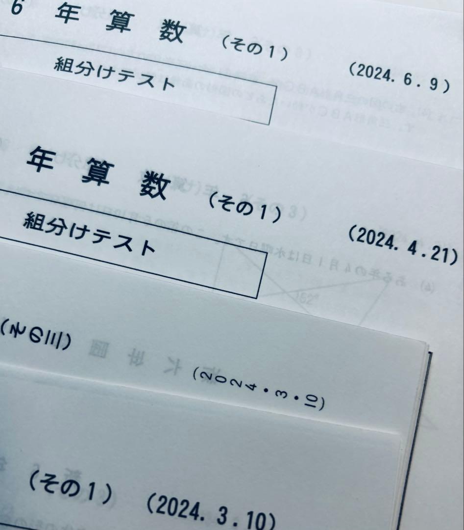 2024年度実施　6年　組分け　合不合テスト　8セット　四谷大塚　早稲田アカ