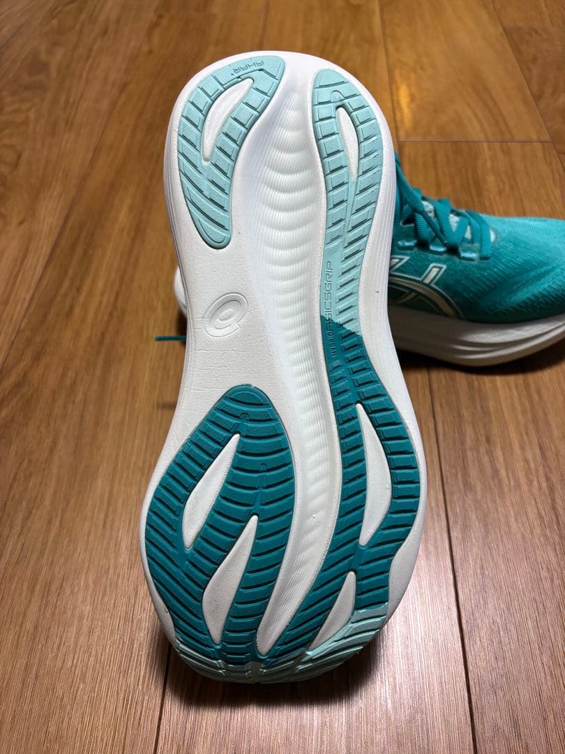 超美品　ASICS GEL-NIMBUS 27 25.0cm レディース