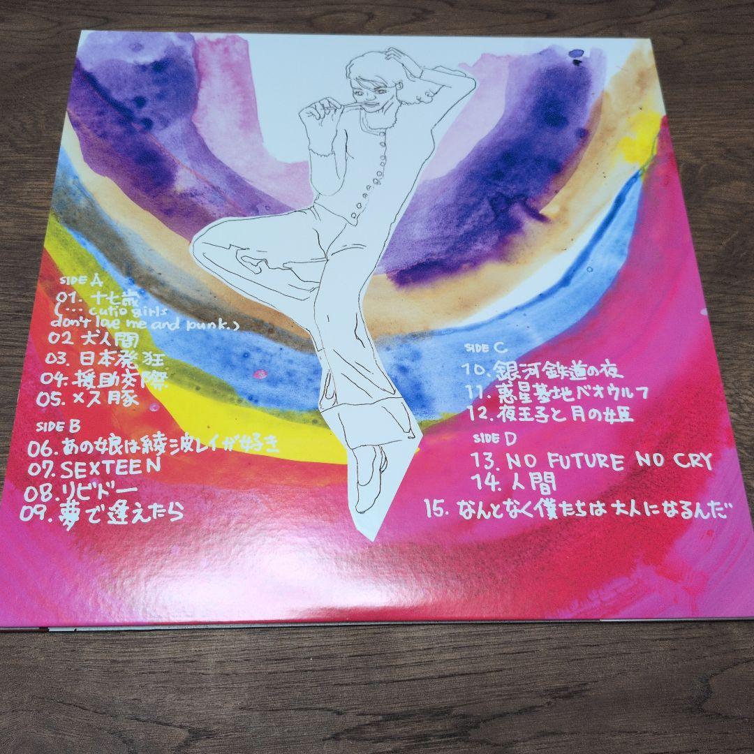 銀杏BOYZ　DOOR　LP アナログ レコード