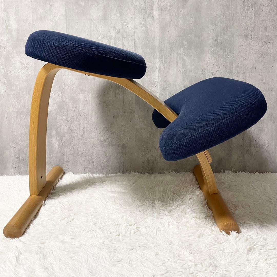 【美品】Balans EASY バランスチェア イージー ネイビー リボ社