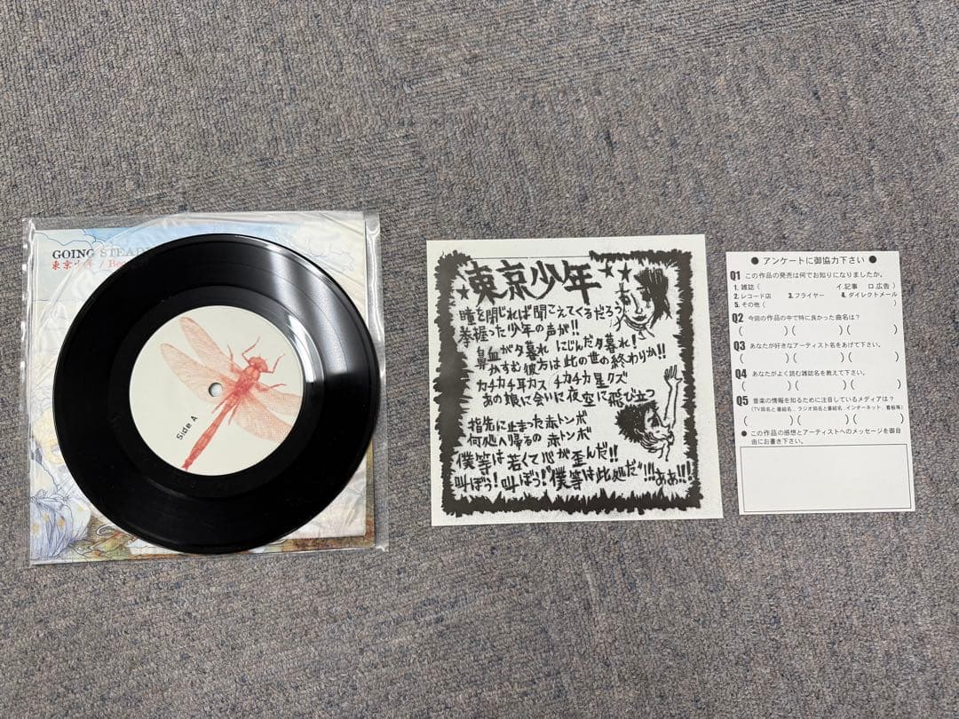 GOING STEADY アナログレコード　シングル　2枚