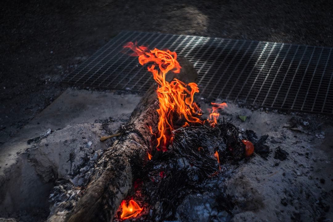 分解清掃済 Helios-44M-4 58mm f2 ぐるぐるボケ 4