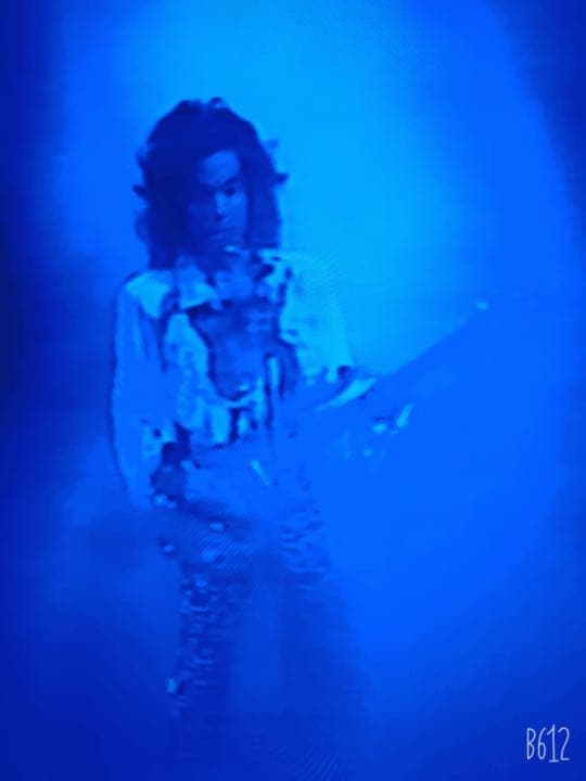 ミュージック PRINCE  lovesexy  live in europe 1988