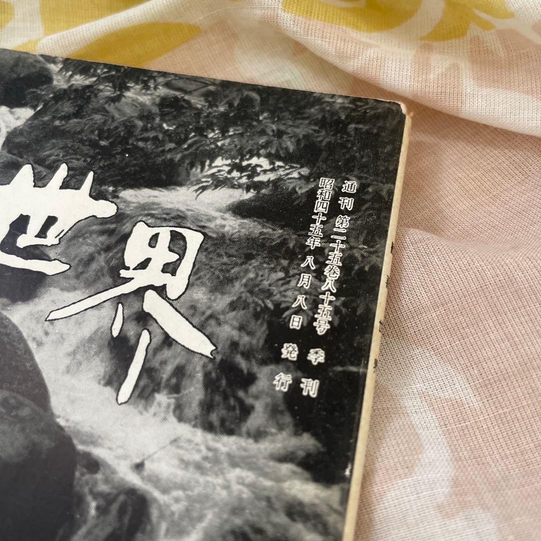 真如苑 歓喜世界 1970 夏 No.85