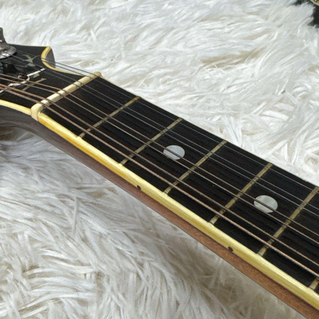 Blue Bell F-15 高級フラットマンドリン 飴色塗装 フジゲン製造