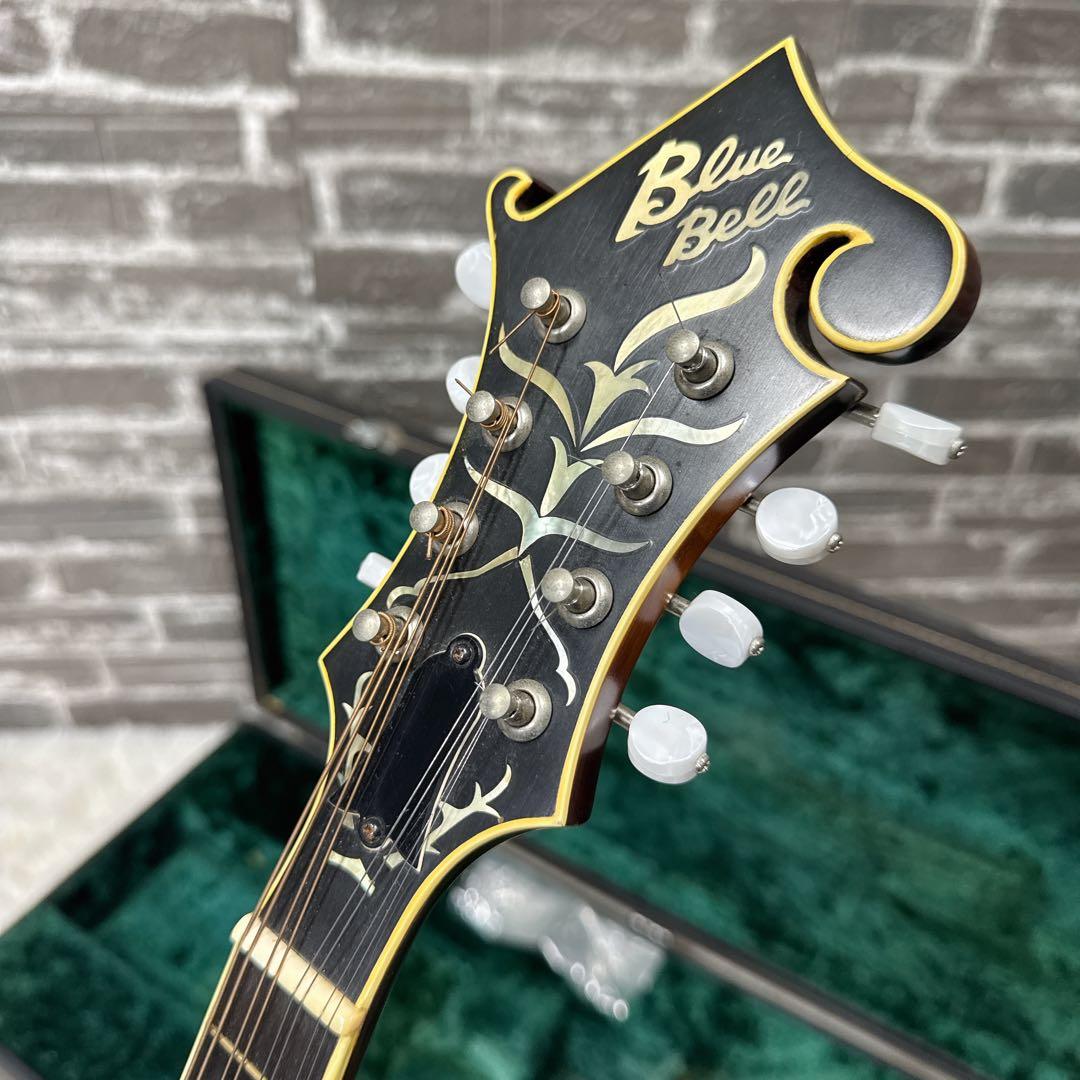 Blue Bell F-15 高級フラットマンドリン 飴色塗装 フジゲン製造