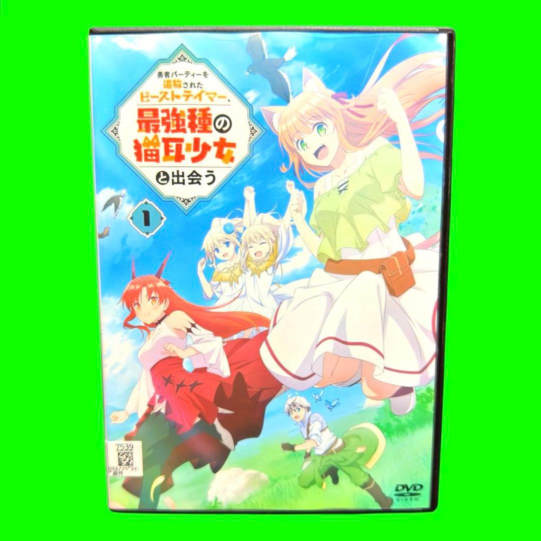 勇者パーティーを追放されたビーストテイマー、最強種の猫耳少女と出会う 全巻セット