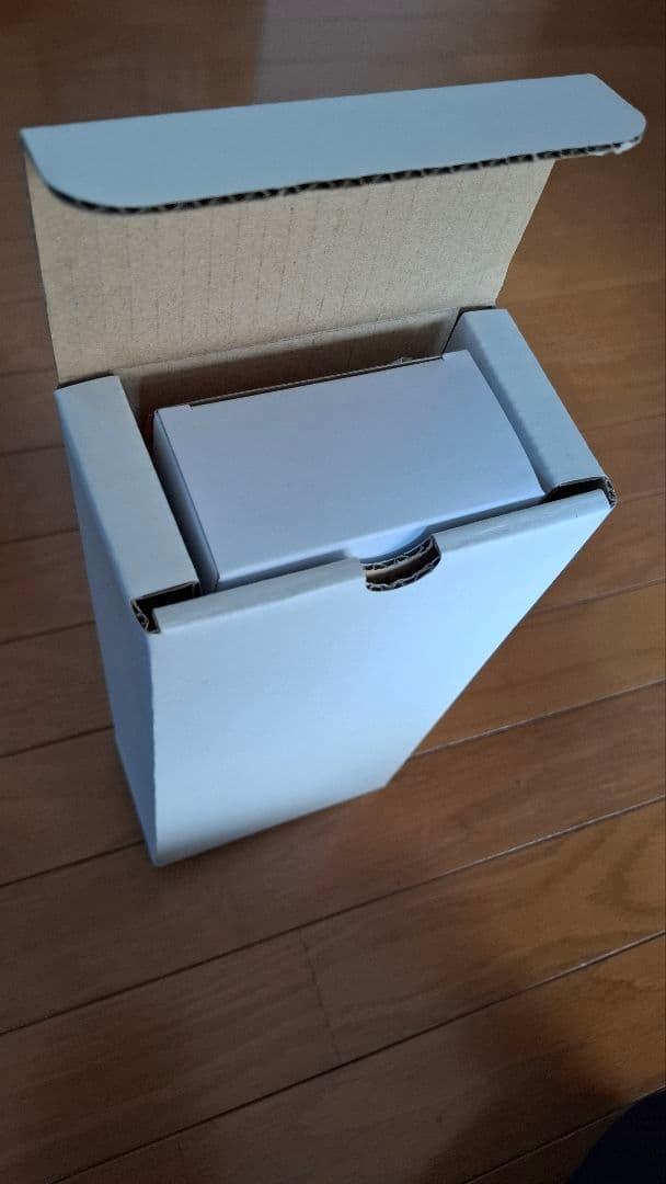 【付属品完備】タムラテコ Lyon3.0 オゾン除菌・脱臭器 TM-04OZ