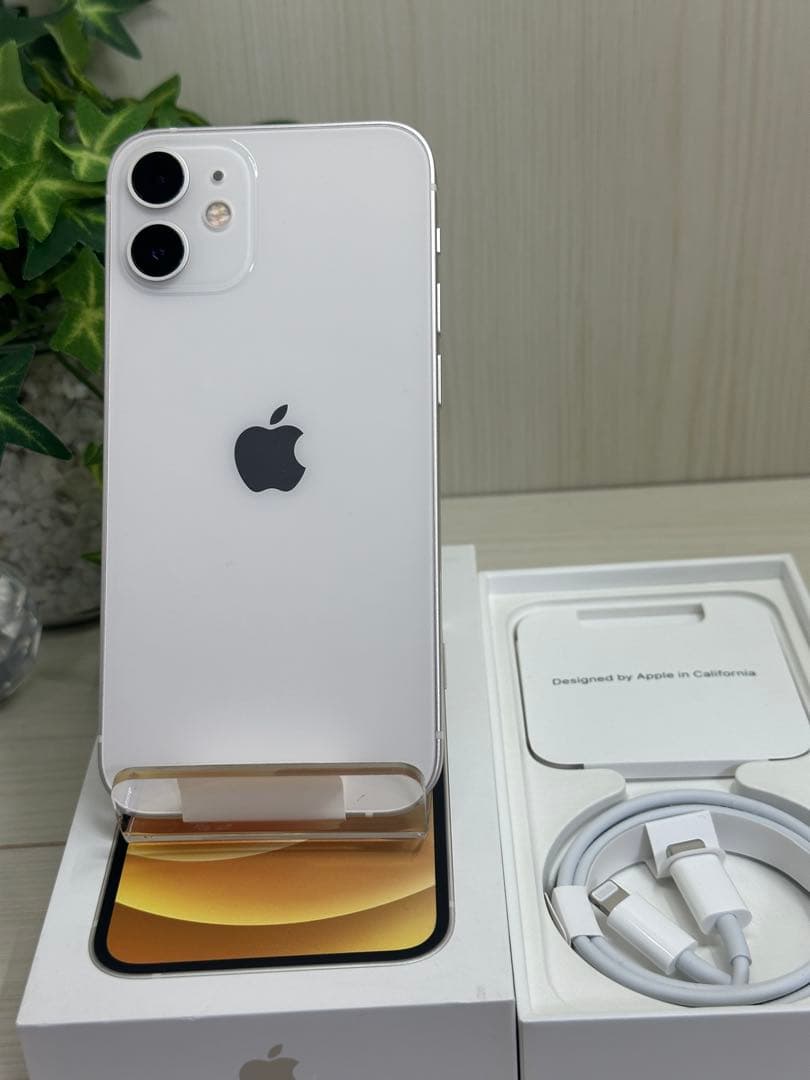 ✅✨新品未使用✨iPhone 12 mini 256GB⭐️SIMフリー✨