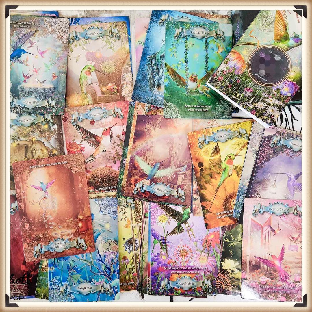 ★正規品オラクルカード★神秘的な世界観✨海外入手困難品✨美しい鳥達のデッキ