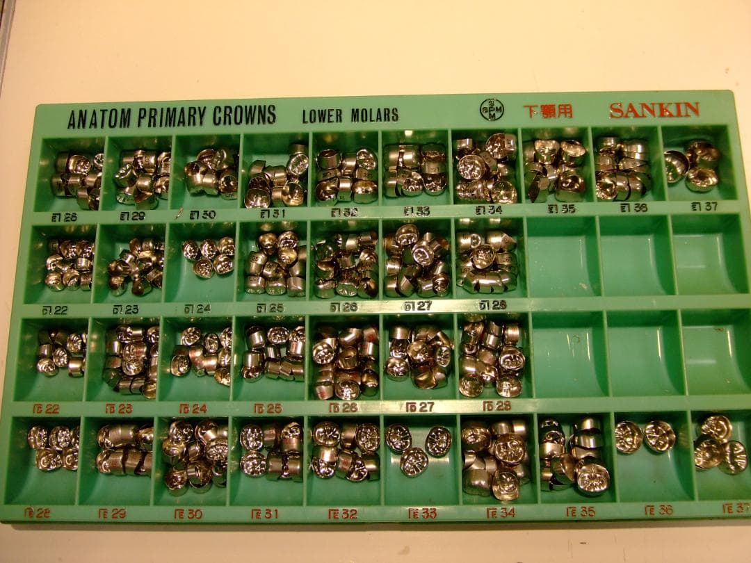 アナトム乳歯冠　歯科