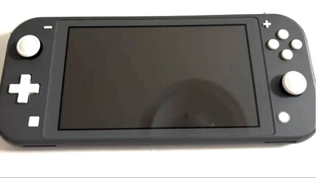 Nintendo Switch Lite グレー + Splatoon 2