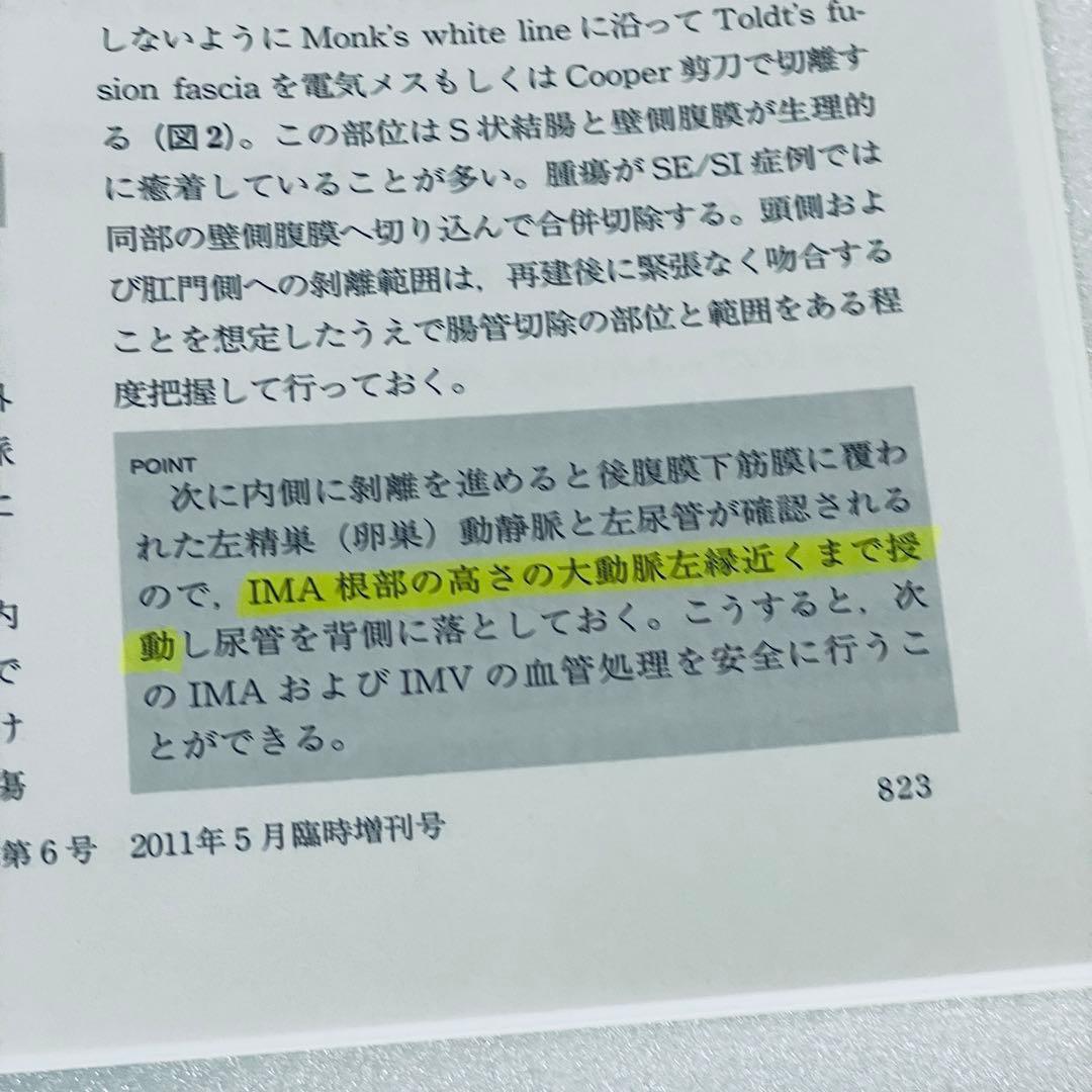 消化器外科　2011年5月号　アトラスで学ぶ達人の手術　臨時増刊号