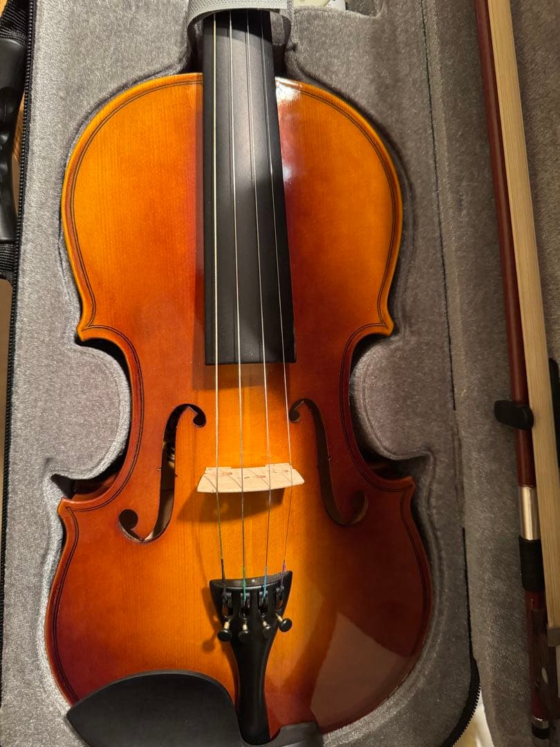 4/4 バイオリン 本体 ケース付き