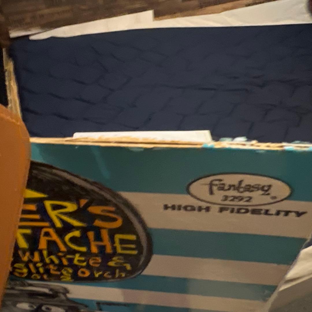 ゆ*ゆ様 【説明欄必読】Your Father's Moustache Vol.