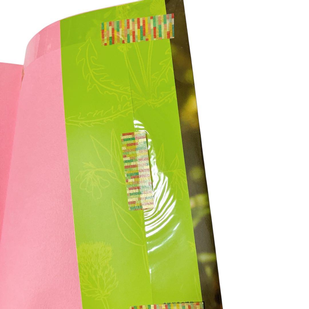 フィンランド発 ヘンリエッタの実践ハーブ療法 初版 カバー付き