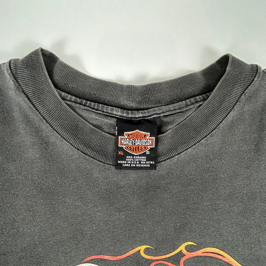 90s Harley-Davidson イーグル ファイヤー ロンＴ L/S