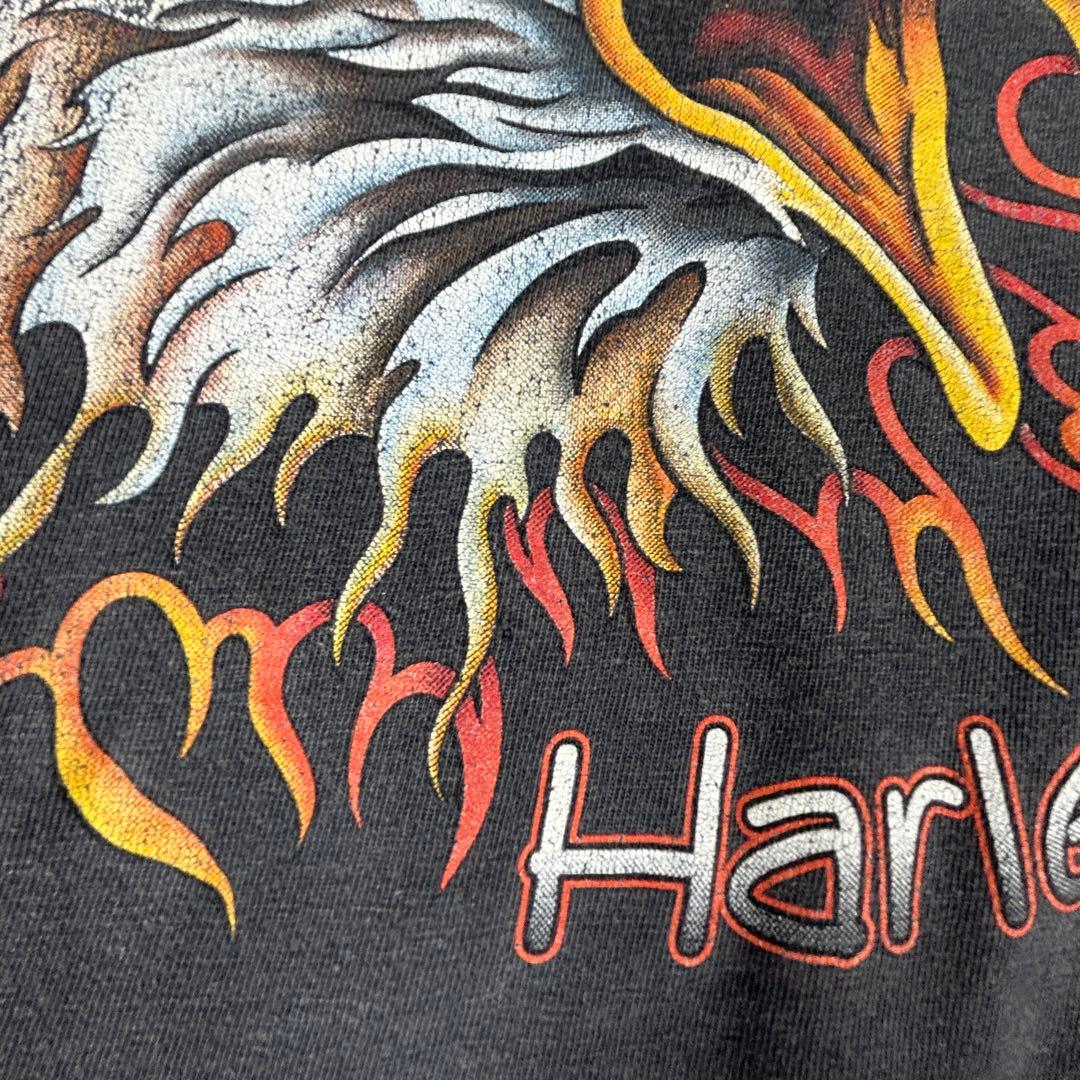 90s Harley-Davidson イーグル ファイヤー ロンＴ L/S