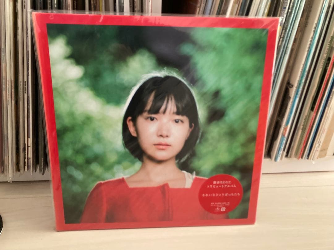 『きれいなひとりぼっちたち』 銀杏BOYZ トリビュート アナログレコード