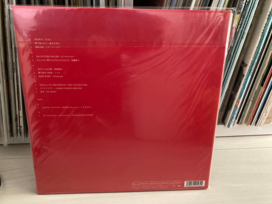 『きれいなひとりぼっちたち』 銀杏BOYZ トリビュート アナログレコード