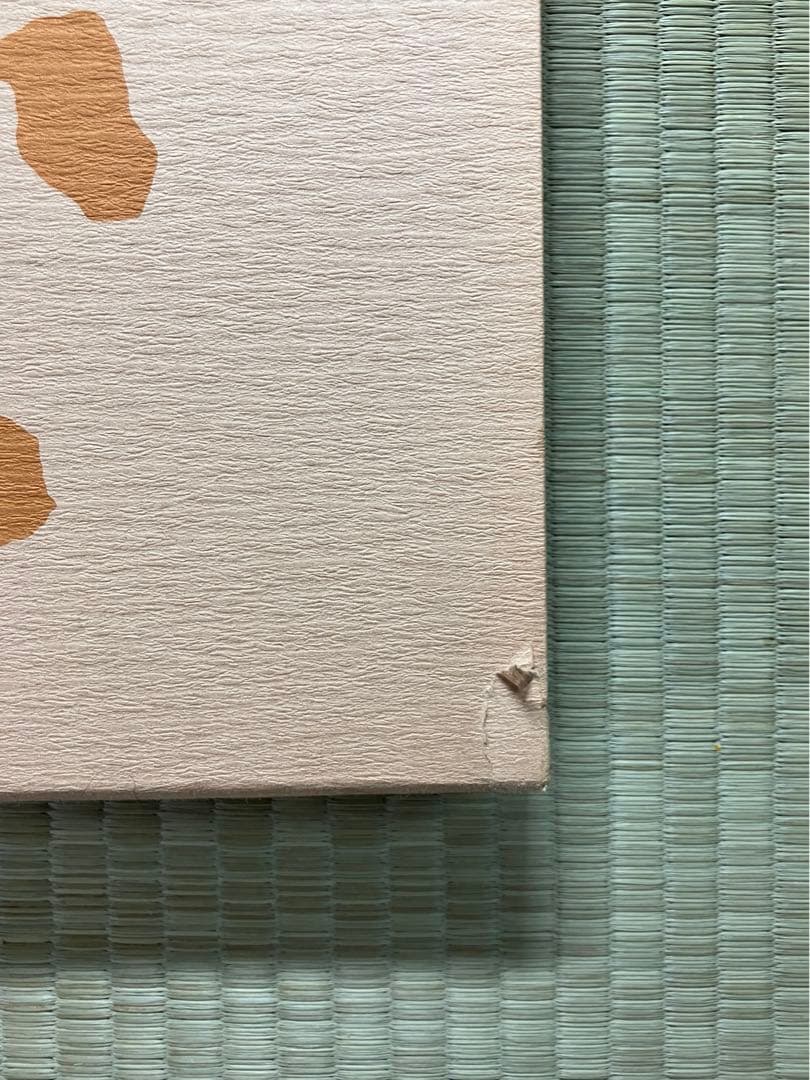 【未使用】　面心　-中村直彦 能面 遺作集