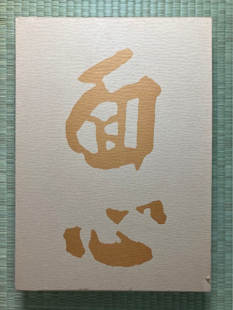 【未使用】　面心　-中村直彦 能面 遺作集