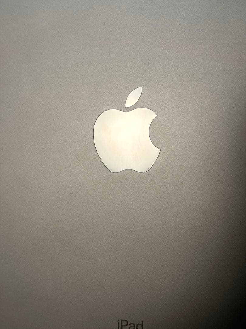 iPad Pro 11インチ 第1世代 Wi-Fi+Cellular 256GB