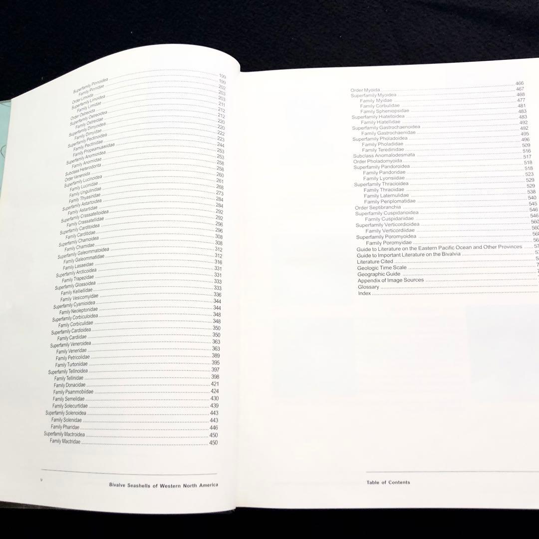 北アメリカ西部の二枚貝 専門書「Bivalve Seashells」