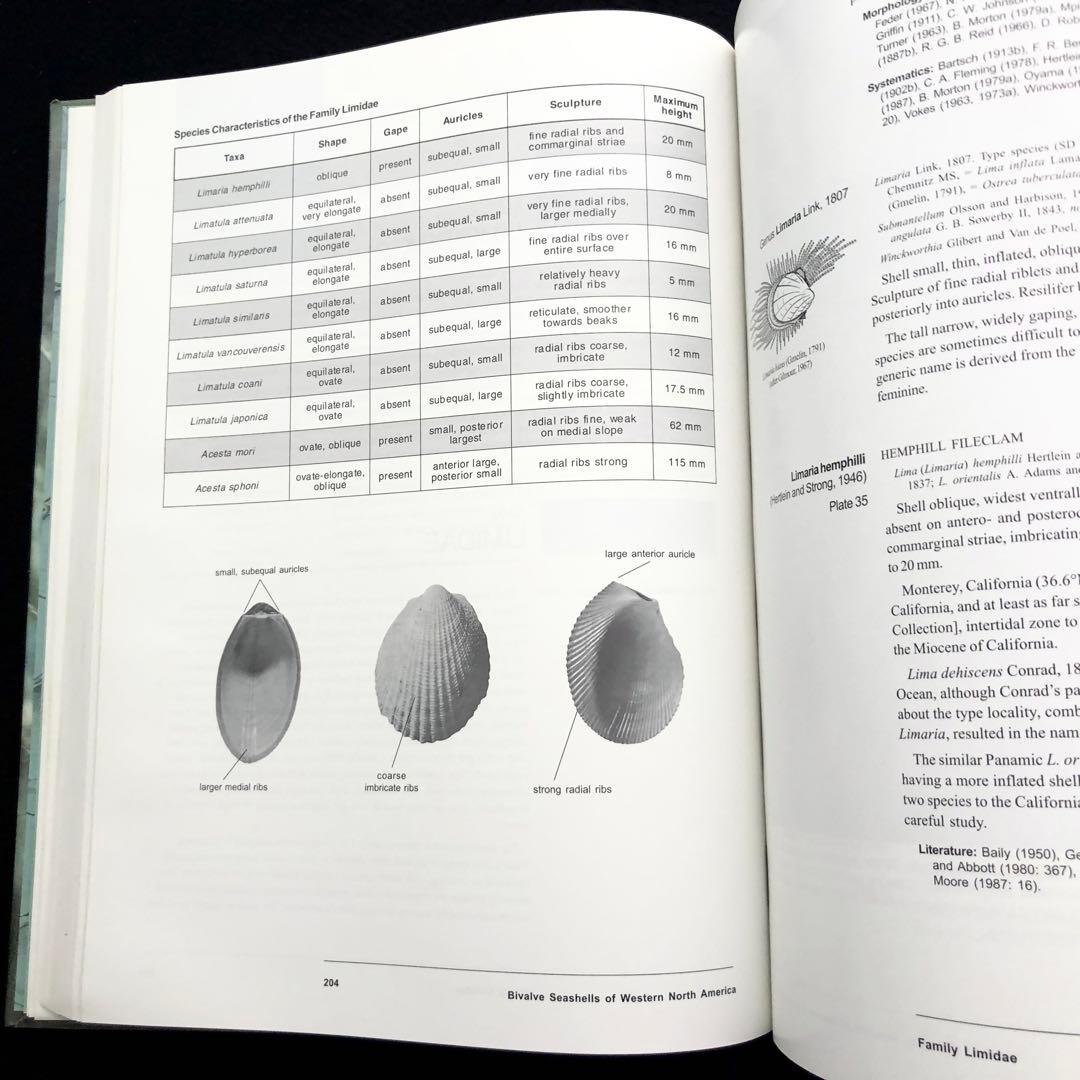 北アメリカ西部の二枚貝 専門書「Bivalve Seashells」