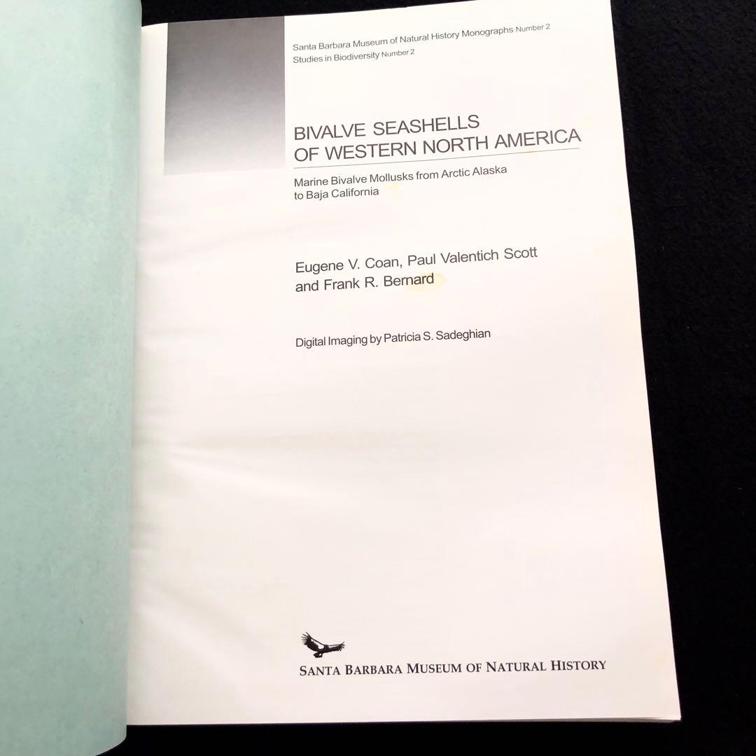 北アメリカ西部の二枚貝 専門書「Bivalve Seashells」