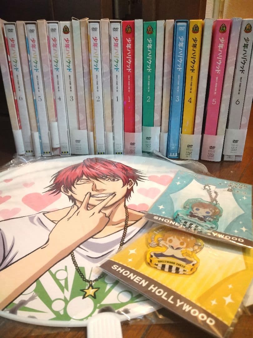 【初回製造版】少年ハリウッドDVD全巻セット(1.2期)