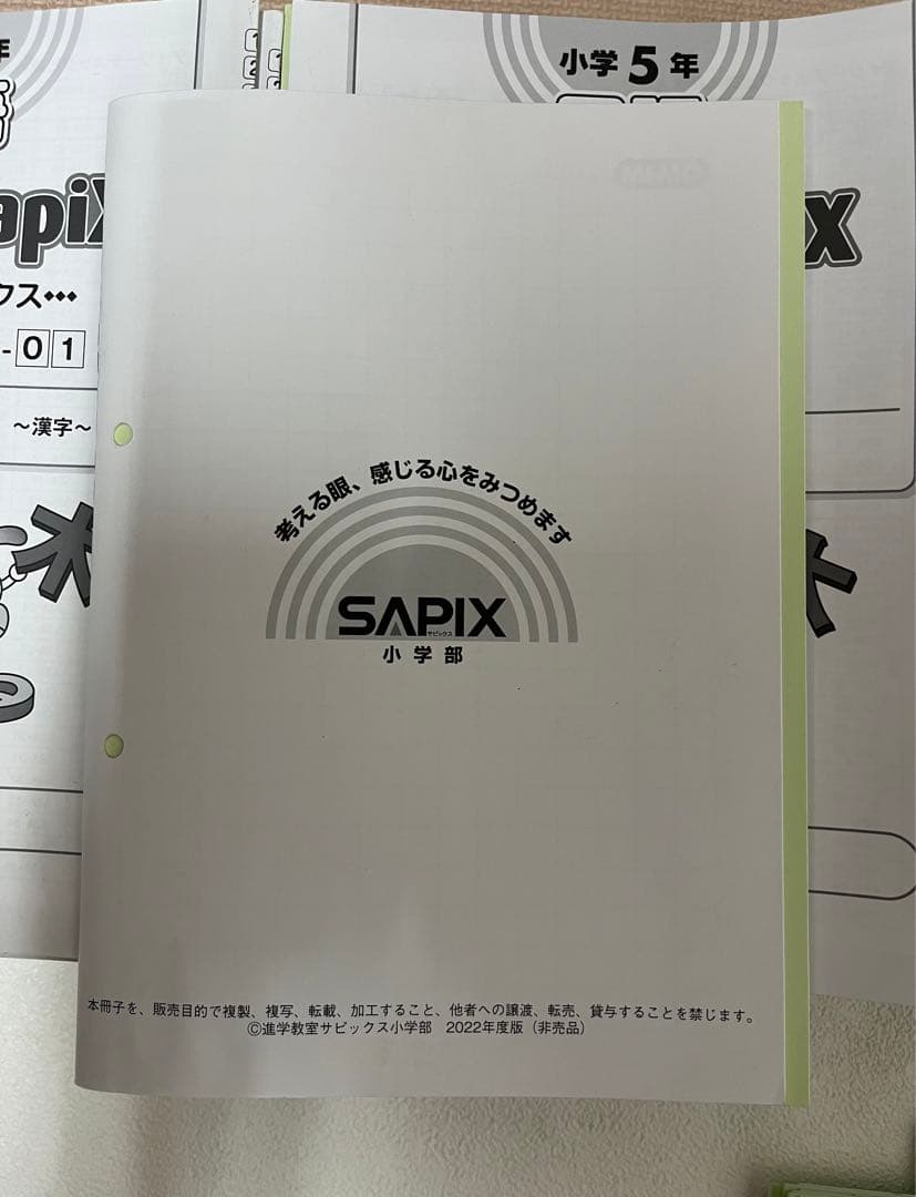 SAPIX デイリーサピックス 5年国語　1年分　2022年度テキスト