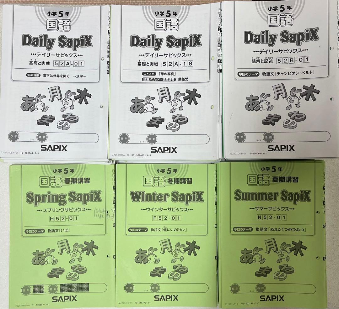 SAPIX デイリーサピックス 5年国語　1年分　2022年度テキスト