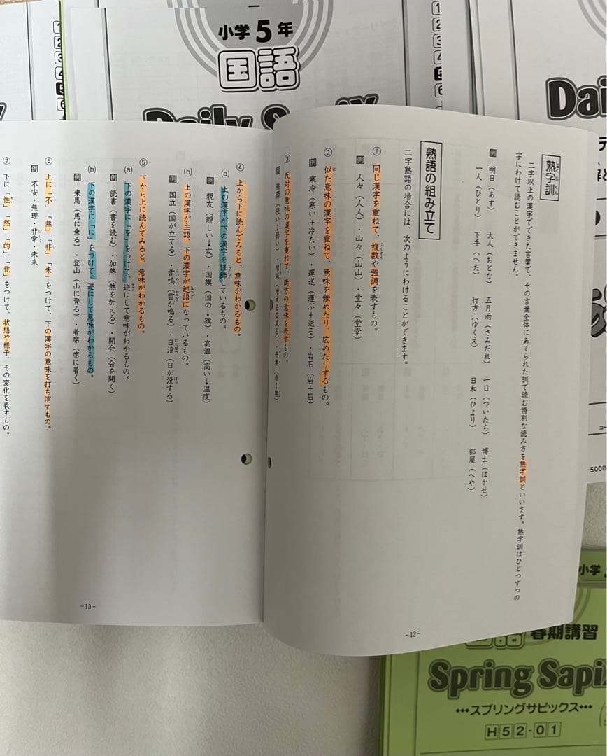 SAPIX デイリーサピックス 5年国語　1年分　2022年度テキスト