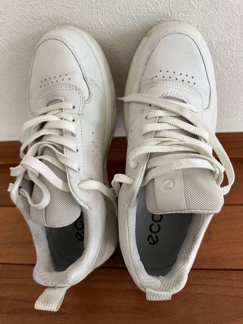 【たけさん専用】Eccoゴルフシューズ GORE-TEX