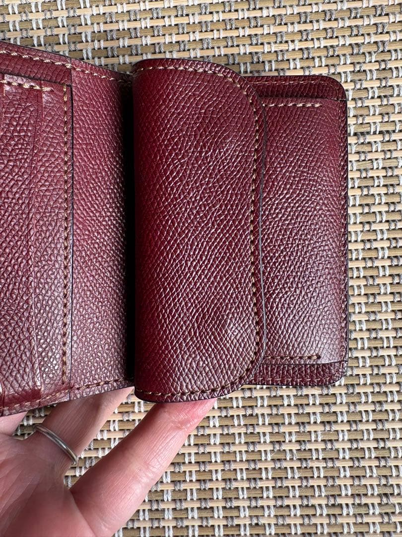 イーノ　ENO【ワイルドスワンズ／WILDSWANS】