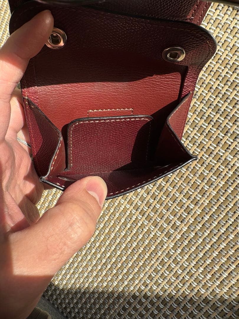 イーノ　ENO【ワイルドスワンズ／WILDSWANS】