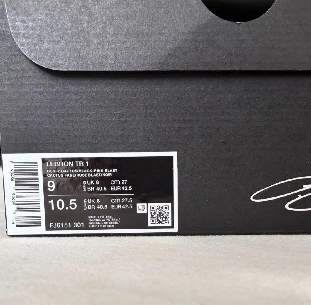 NIKE レブロン TR1 Amazon元値36200円