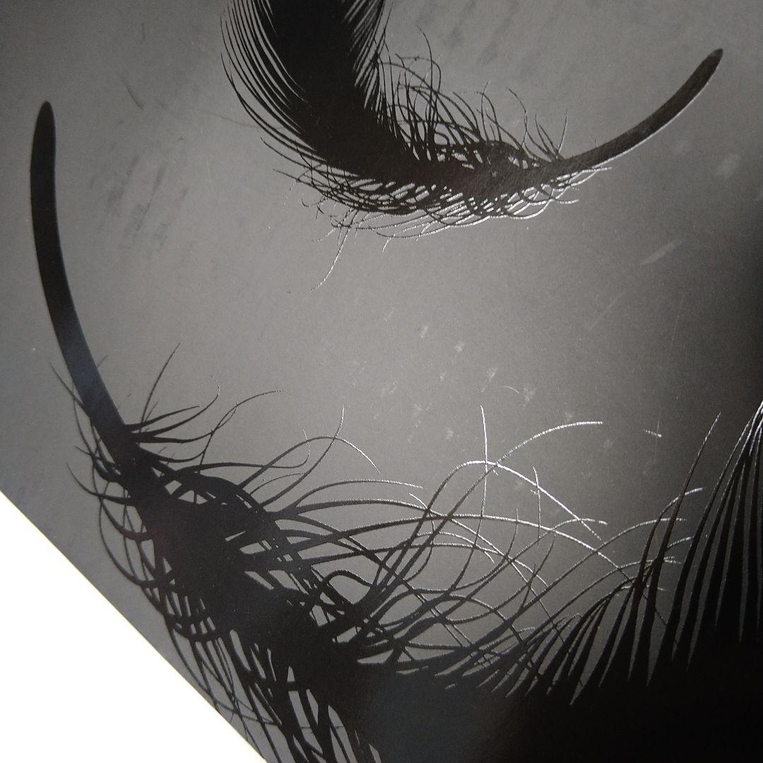 スリップノット DAY OF THE GUSANO DVD