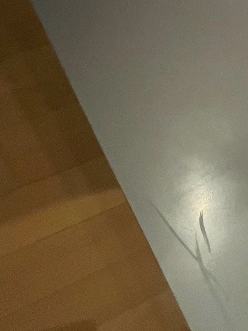 カッシーナイクスシー　Cassina LOTUS シアターボード