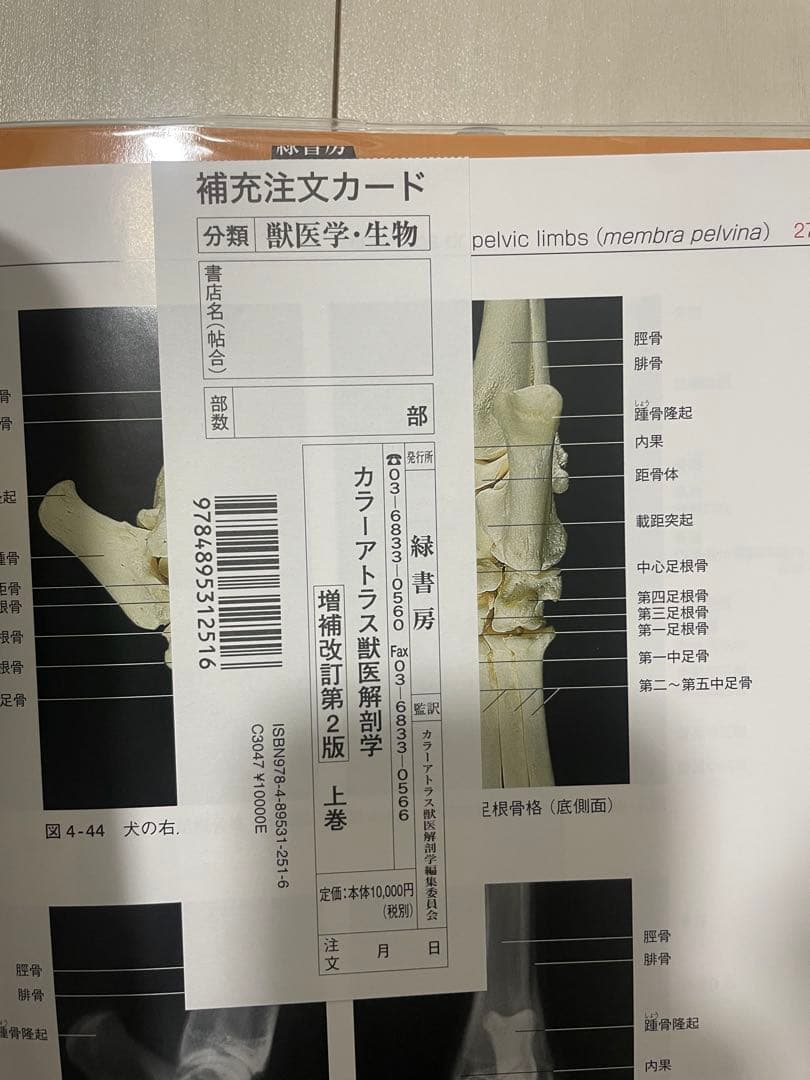 カラーアトラス 獣医解剖学 増補改訂第2版 上下巻セット