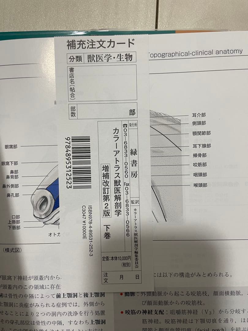 カラーアトラス 獣医解剖学 増補改訂第2版 上下巻セット