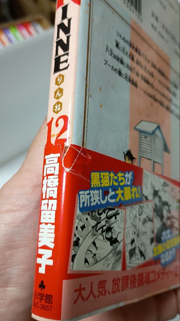 境界のRinne 全40巻セット(初版本帯付き)