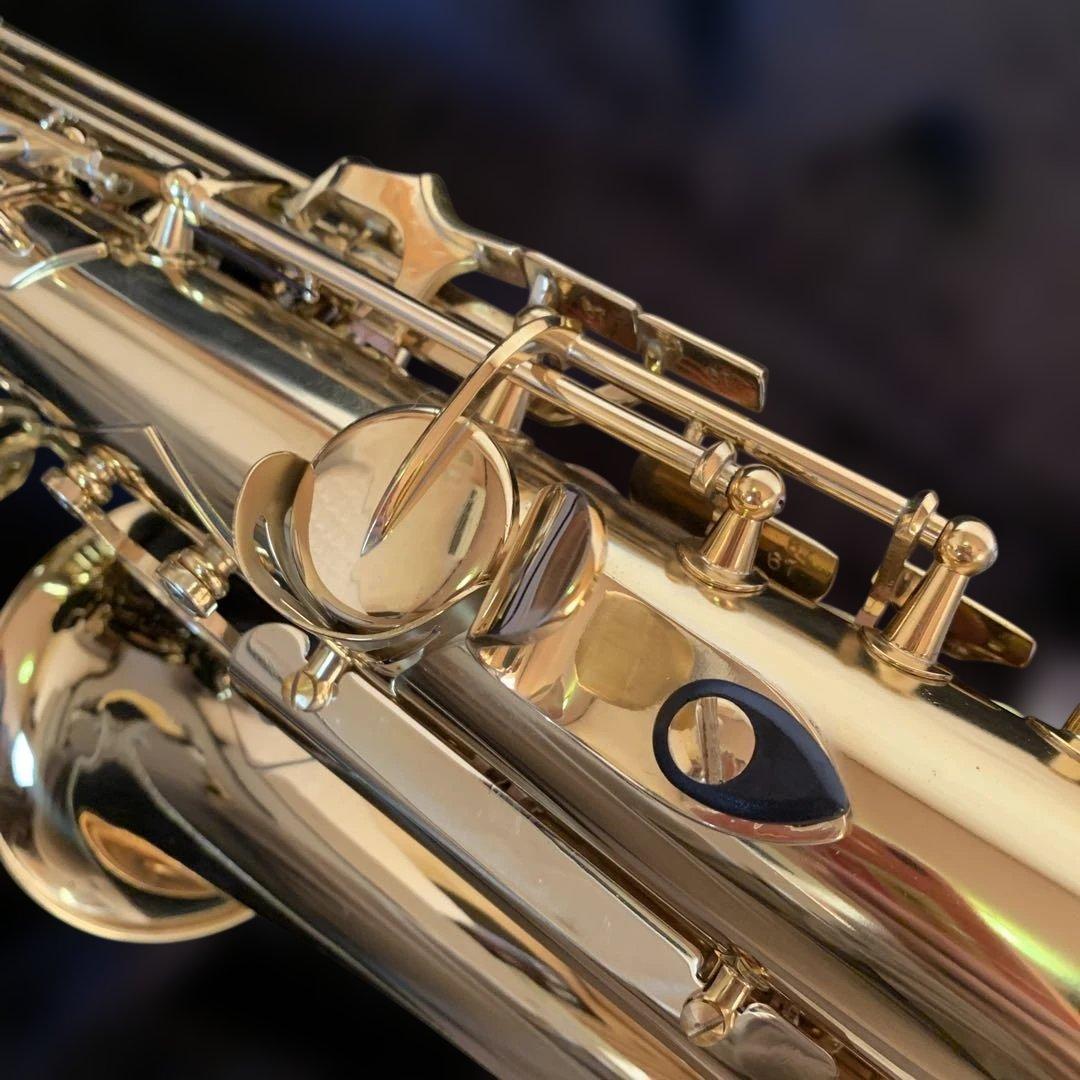 J.Michaelアルトサックス 専用ケース付