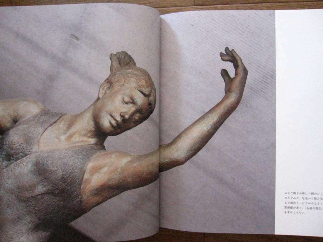 山本眞輔の世界　il mondo di SHINSUKE YAMAMOTO