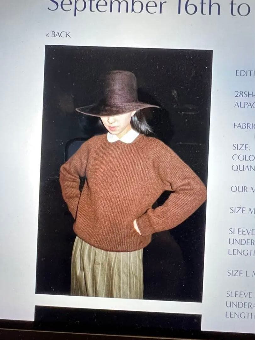 Cristaseya - Hare fur felt hat 【元箱あり】