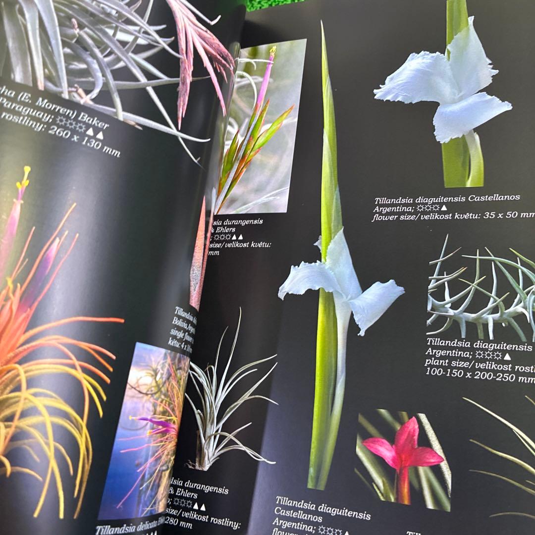 World o Tillandsia Jan Maruska著